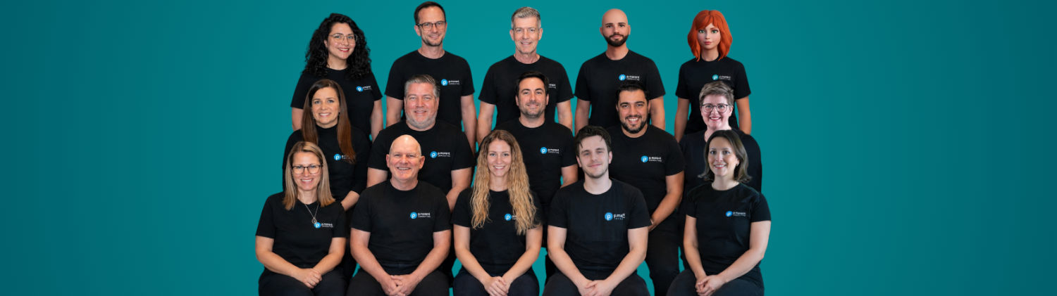 Team p.manent consulting